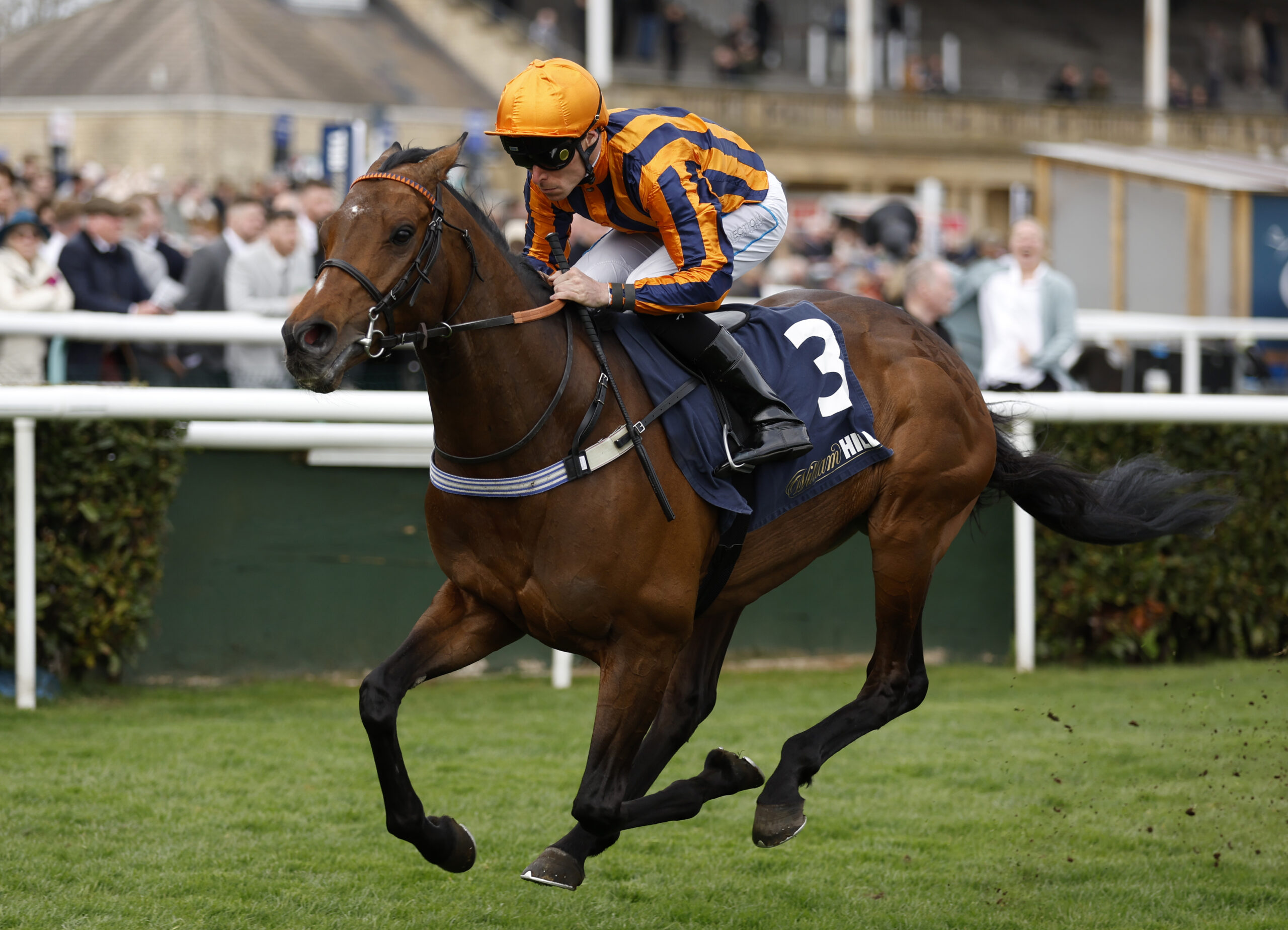 Teal keen to roll the dice as Dancing Gemini returns in red hot Sandown clash