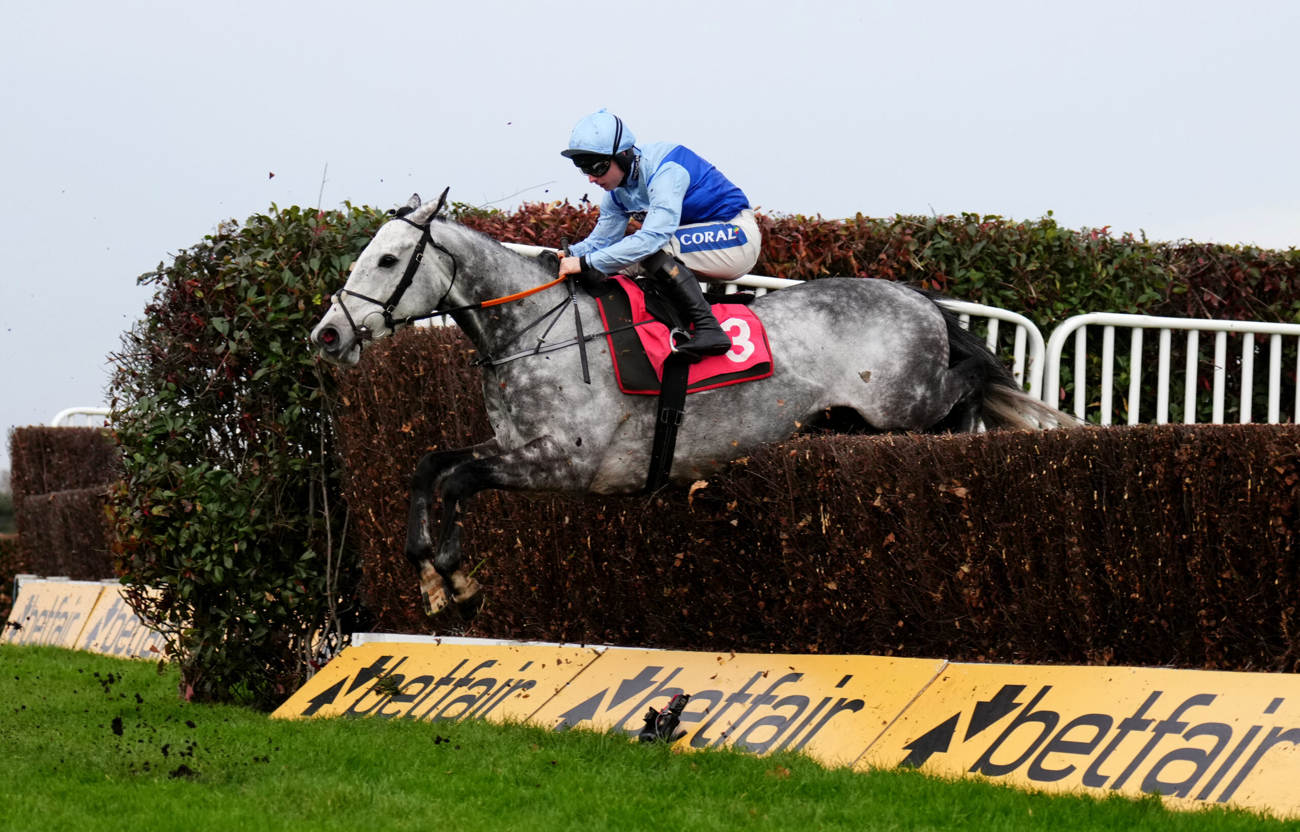 Celebration time for Jonbon