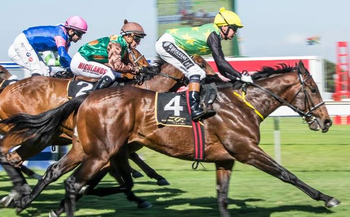 French Selections Sunday 26th