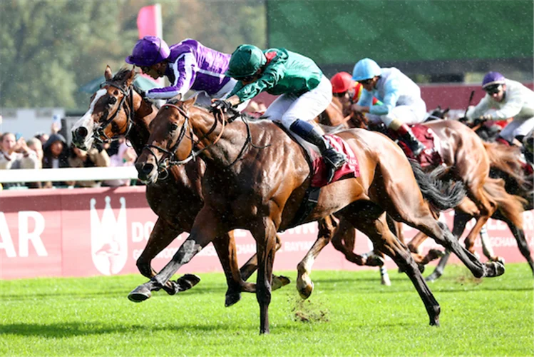 French Selections Sunday 24th