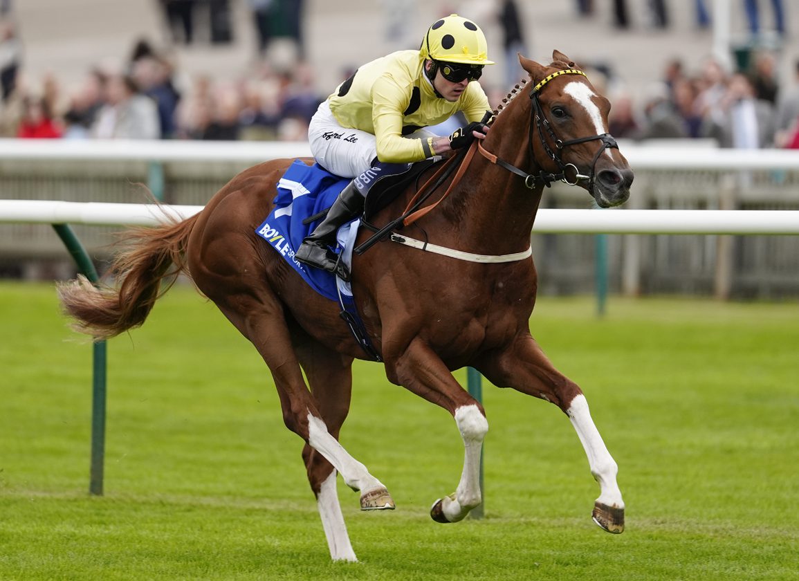 Rahiebb Yorkshire Cup bound after Chester re-route