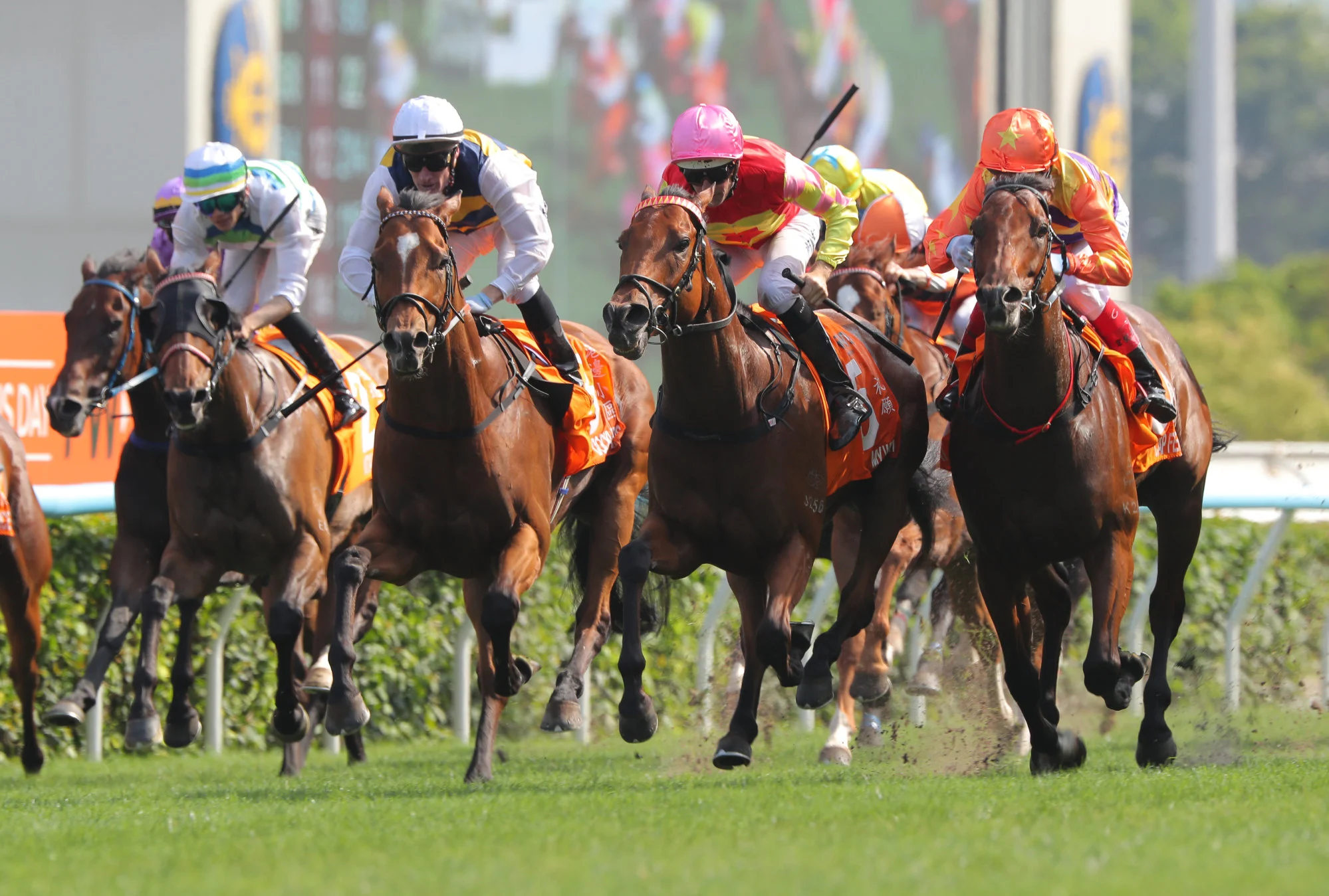 French Selections Sunday 17th