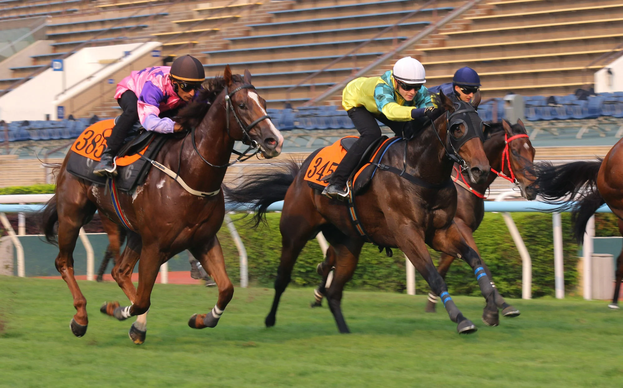 French Selections Friday 22nd