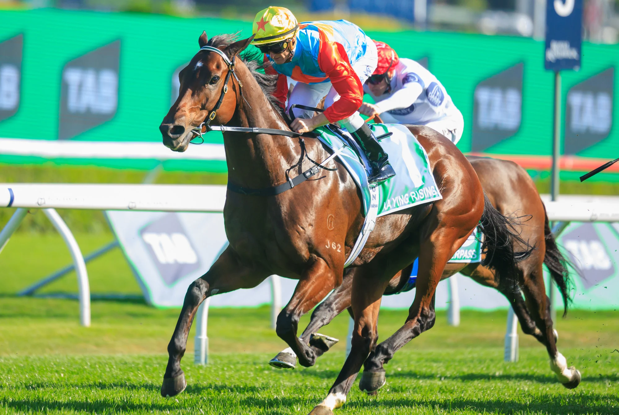 French Selections Saturday 23rd