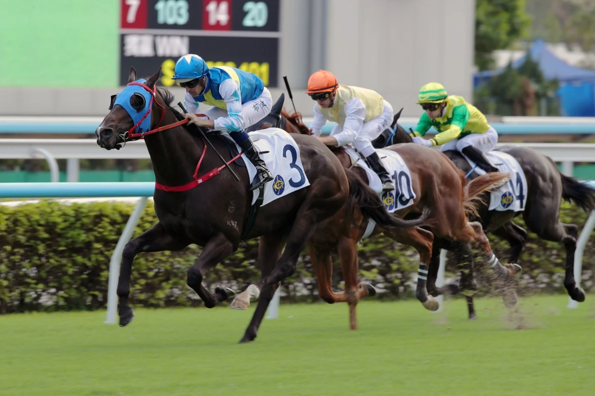 French Selections Thursday 21st