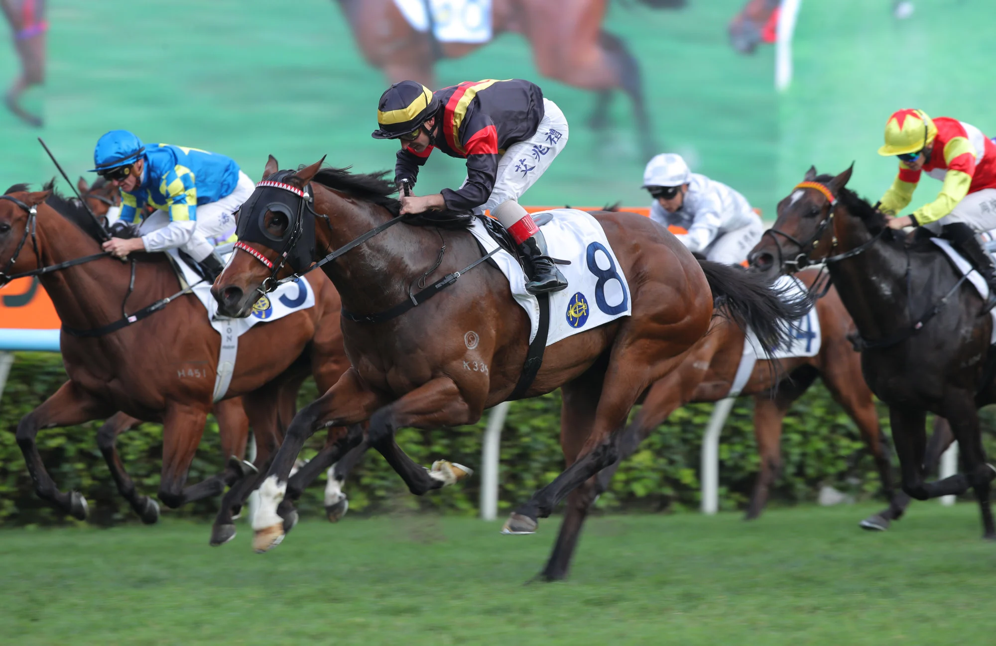 French Selections Saturday 16th