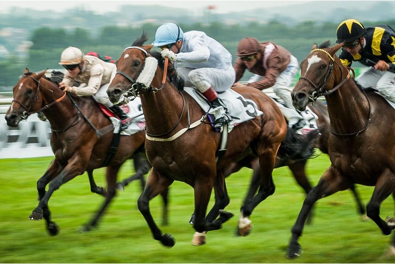 French Selections Wednesday 17th