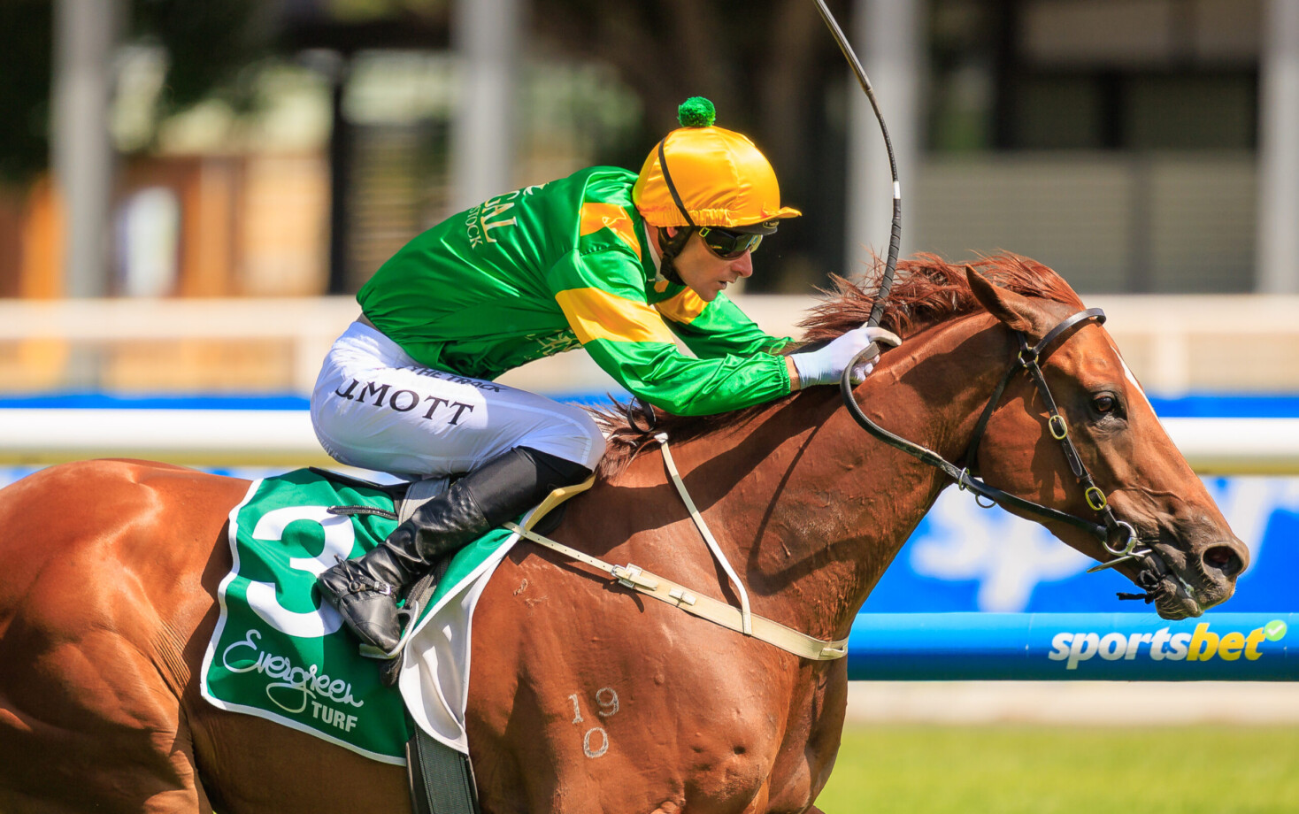 McArdle eyes winter kick-off in Eye Liner Stakes
