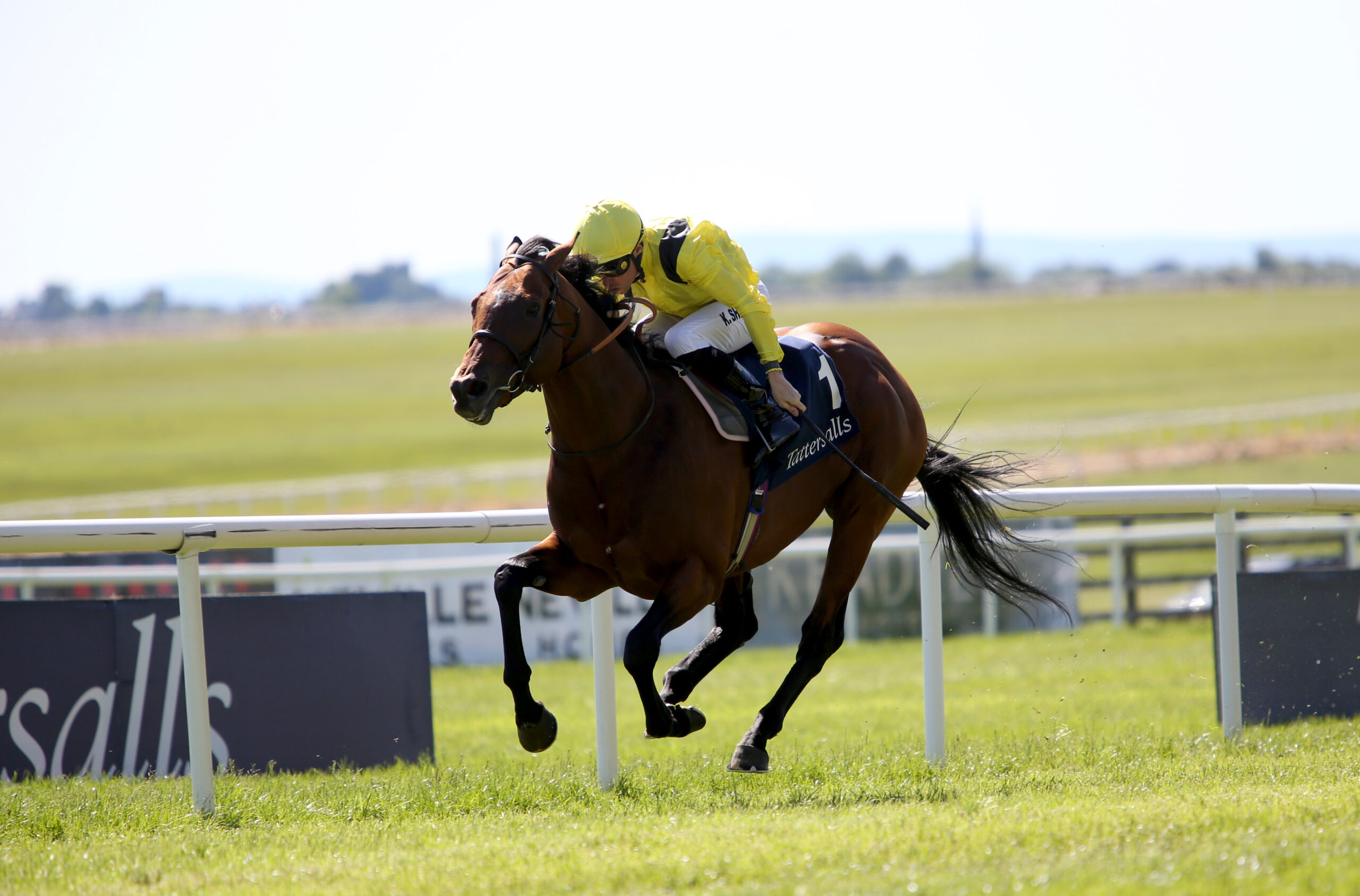 ALMAQAM TO UPSET PRINCEOF WALES’S BIG GUNS