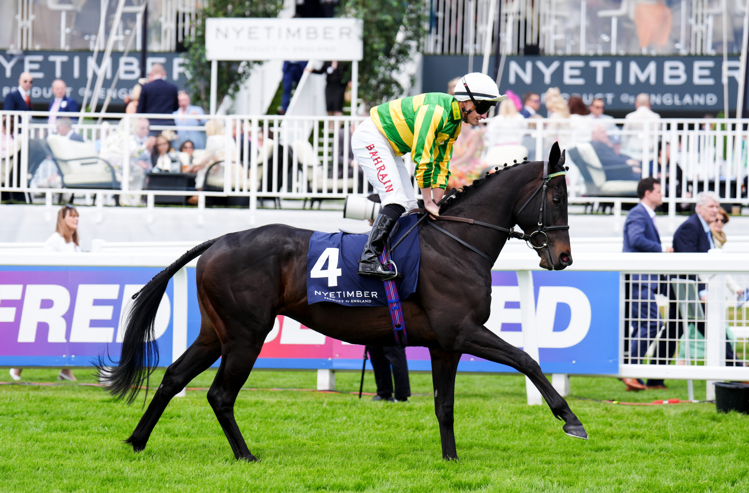 Horse Racing Tips: Nap of the Day