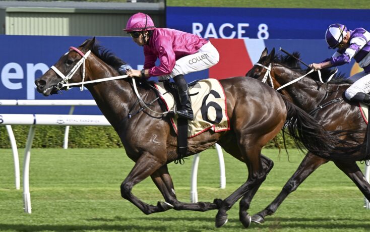 Fangirl Can Crown AStellar SeasonIn The Tattersalls Tiara