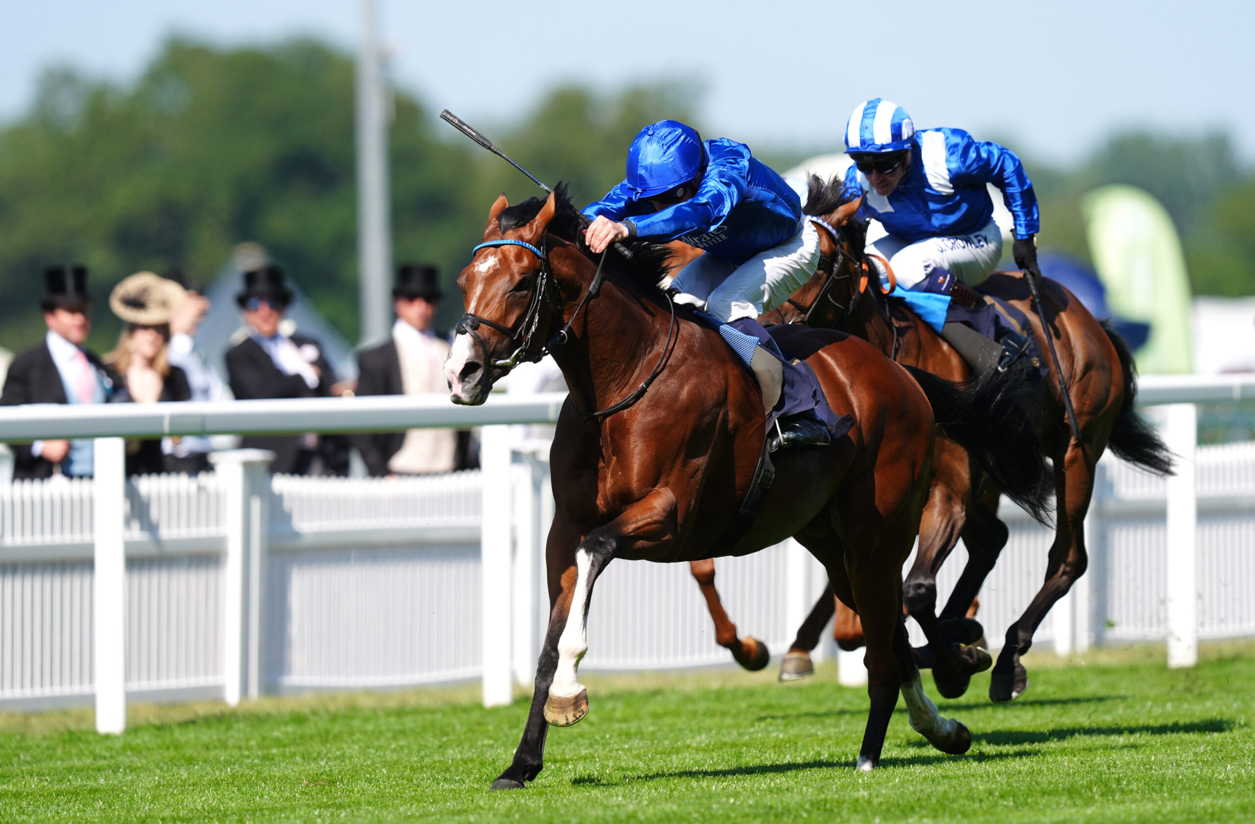 Ombudsman usurps long-time favourite Daryz ahead of Prince of Wales’s showdown