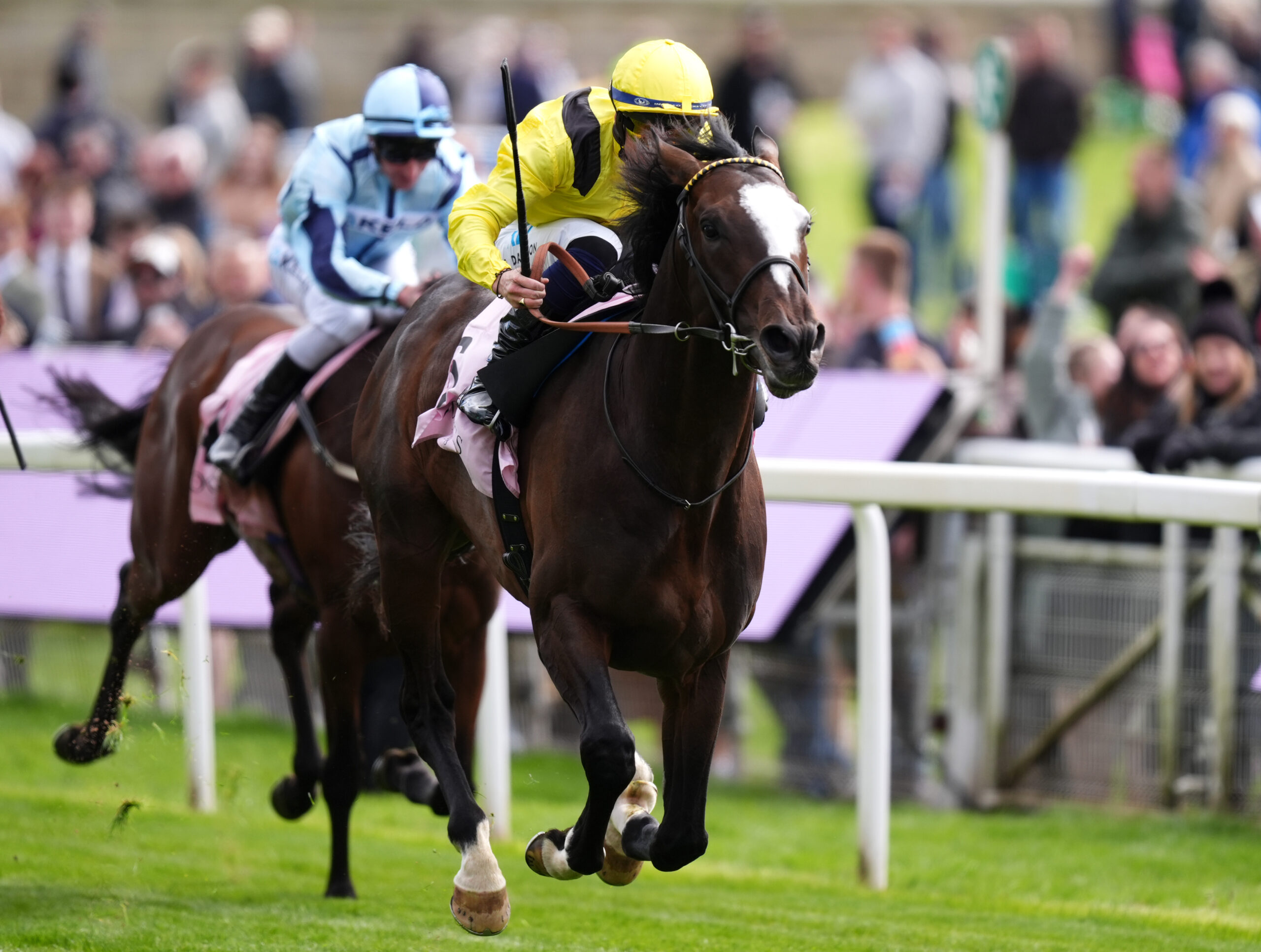 Rahiebb ready for Cup showdown