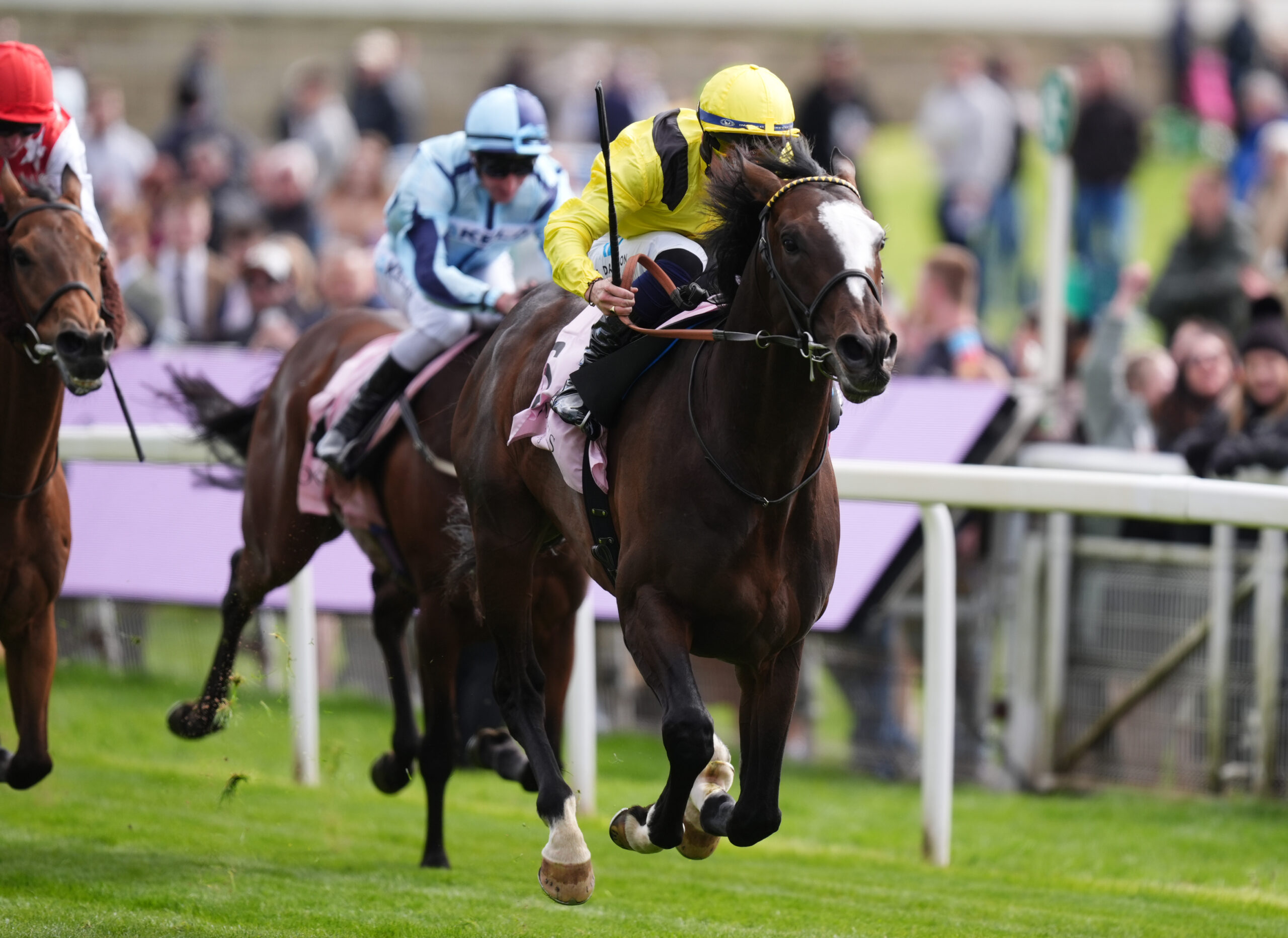 Rahiebb to fly the flag for Varian at Royal Ascot
