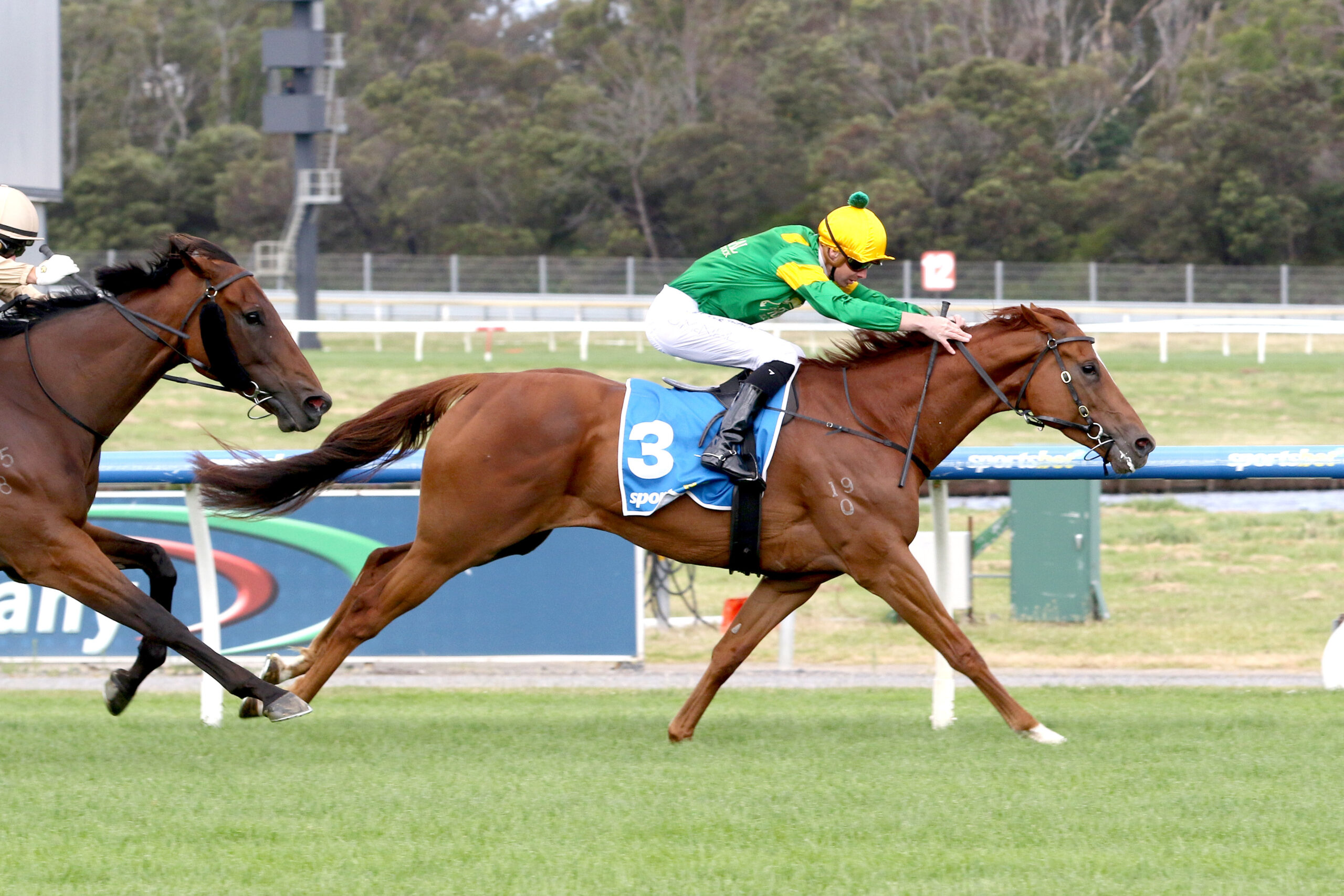 McArdle eyes winter kick-off in Eye Liner Stakes