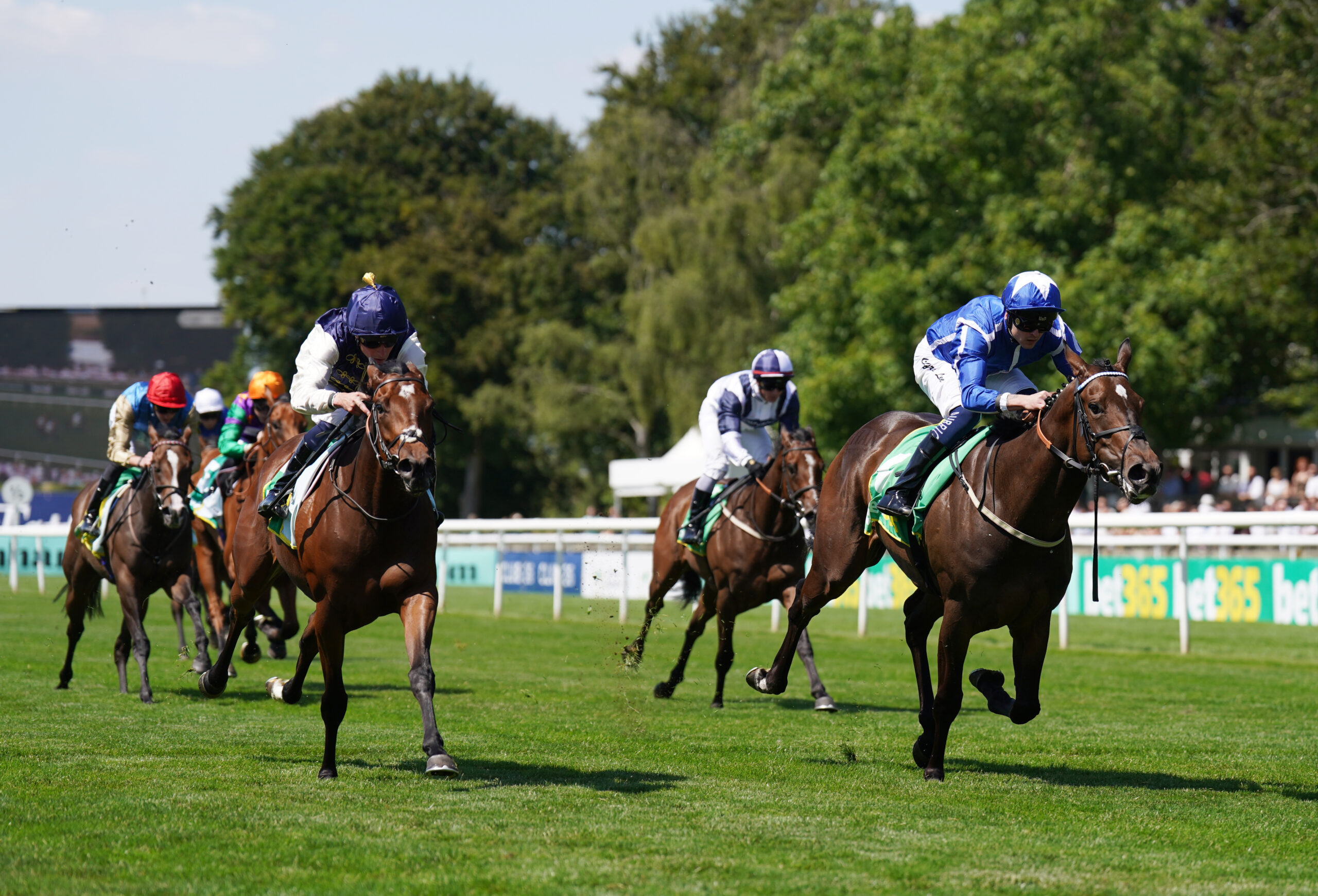 VENETIAN SUN TO BLAZE A TRAIL IN COMMONWEALTH CUP
