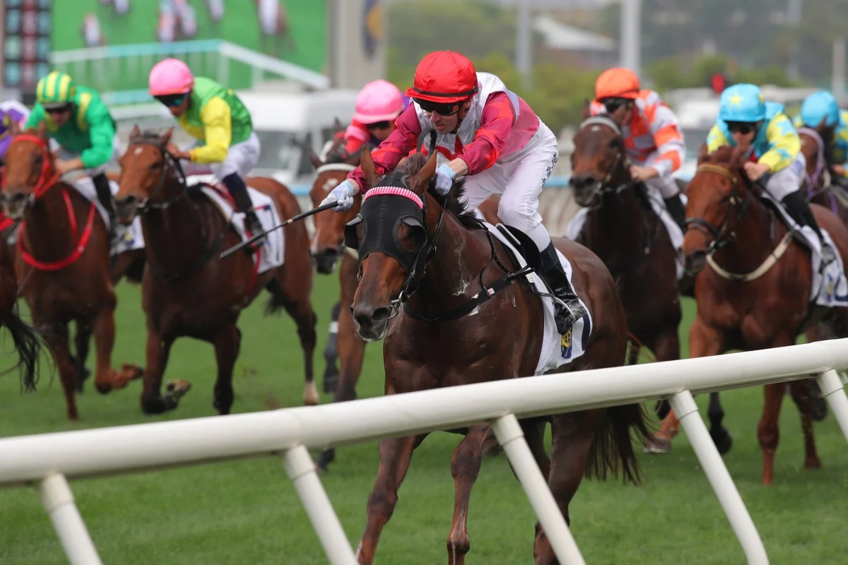 French Selections Thursday 11th