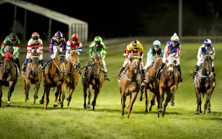 French Selections Sunday 12th