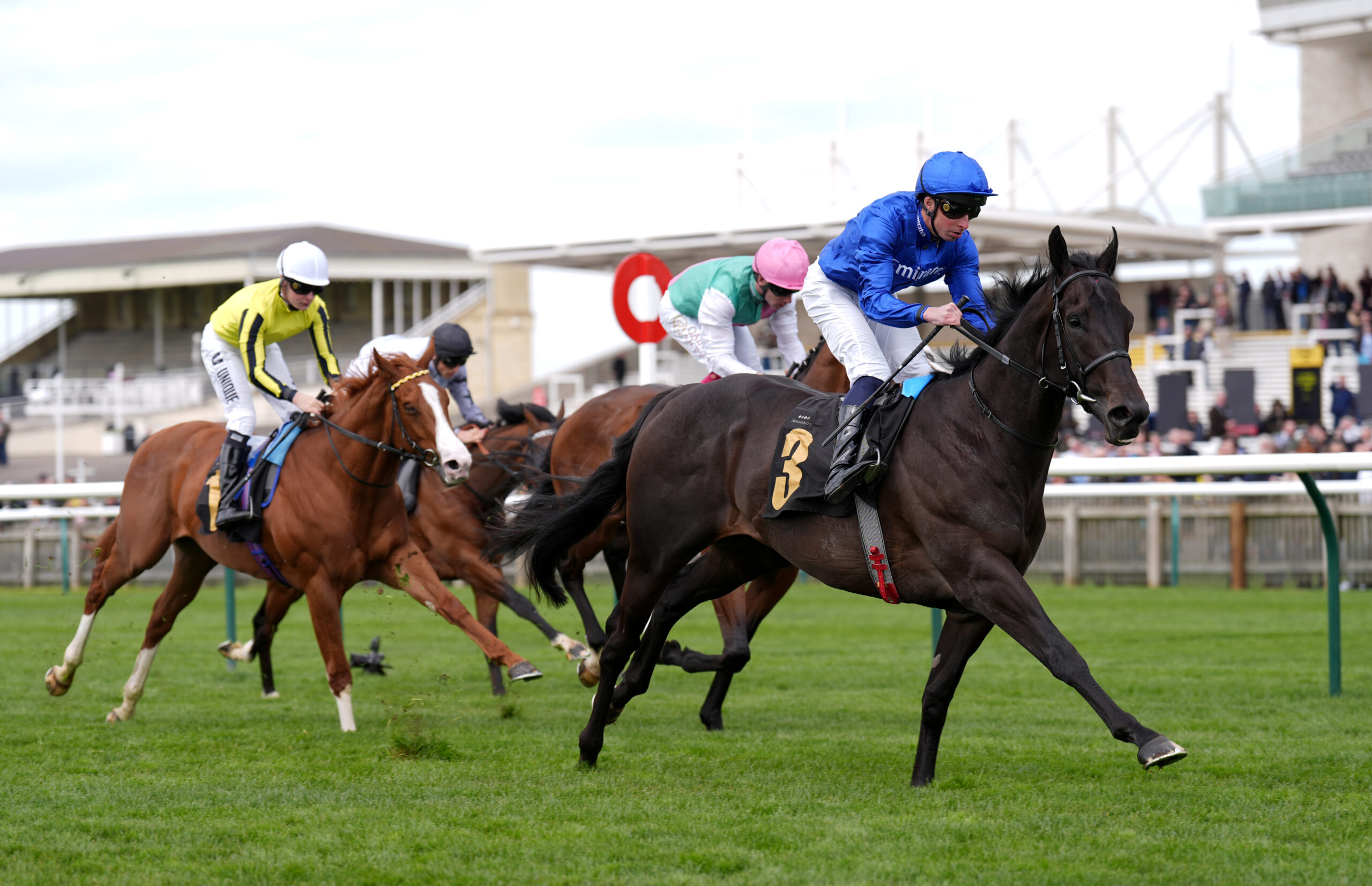 Nabati looks ripe in Newbury Rose Bowl