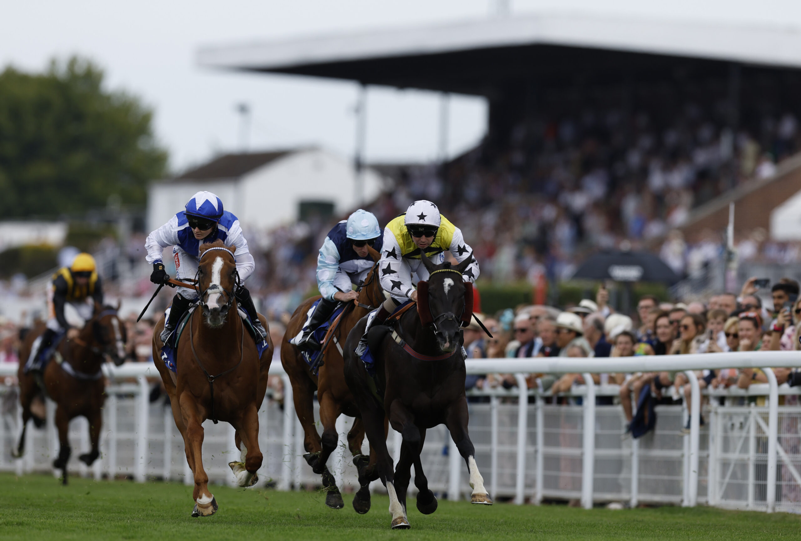 Commanche Falls Aims to Roll Back the Years at Hamilton Park