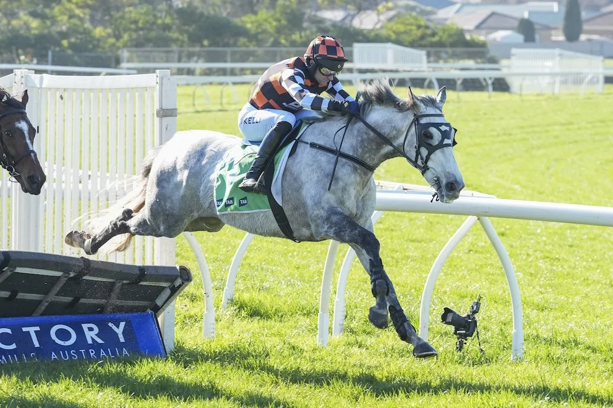 Ardakan Primed for Grand National Hurdle Challenge at Sandown