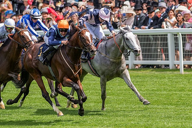 French Selections Friday 3rd