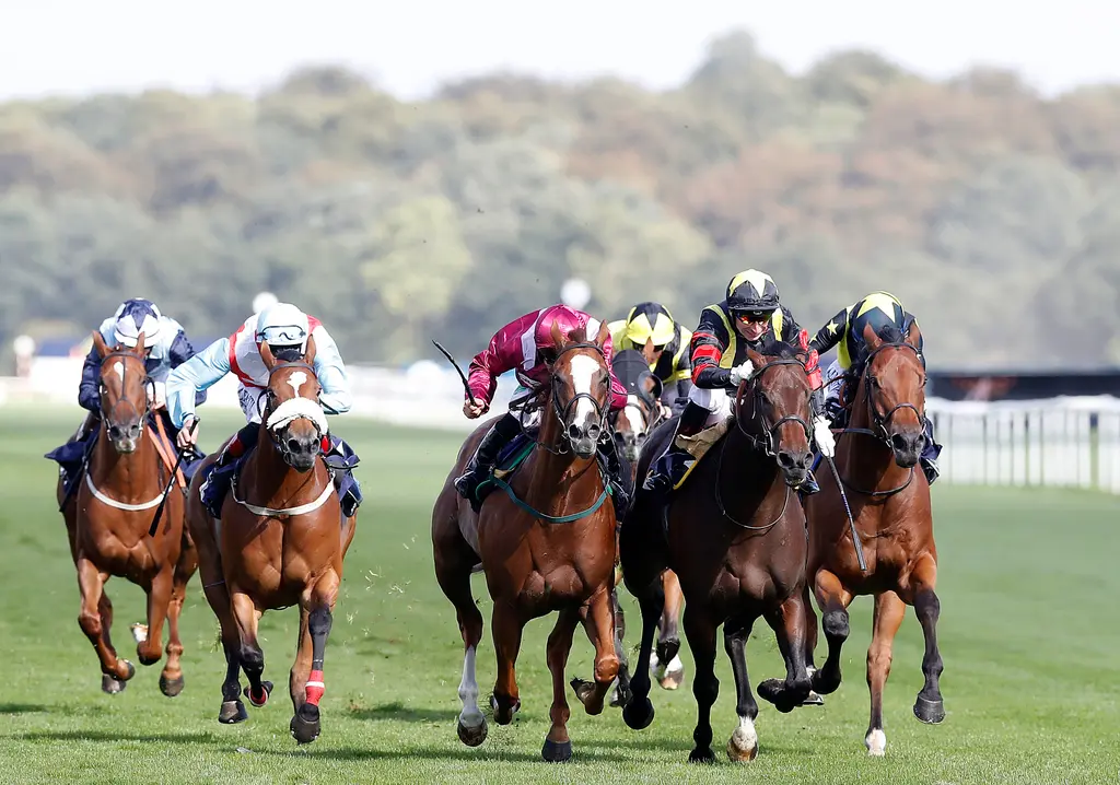 French Selections Friday 10th