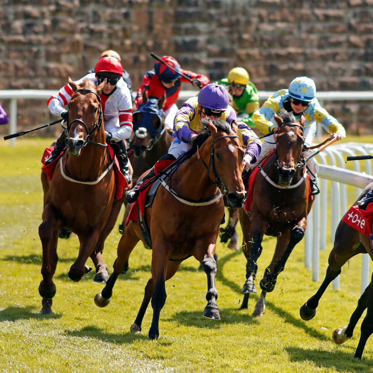 French Selections Thursday 23rd