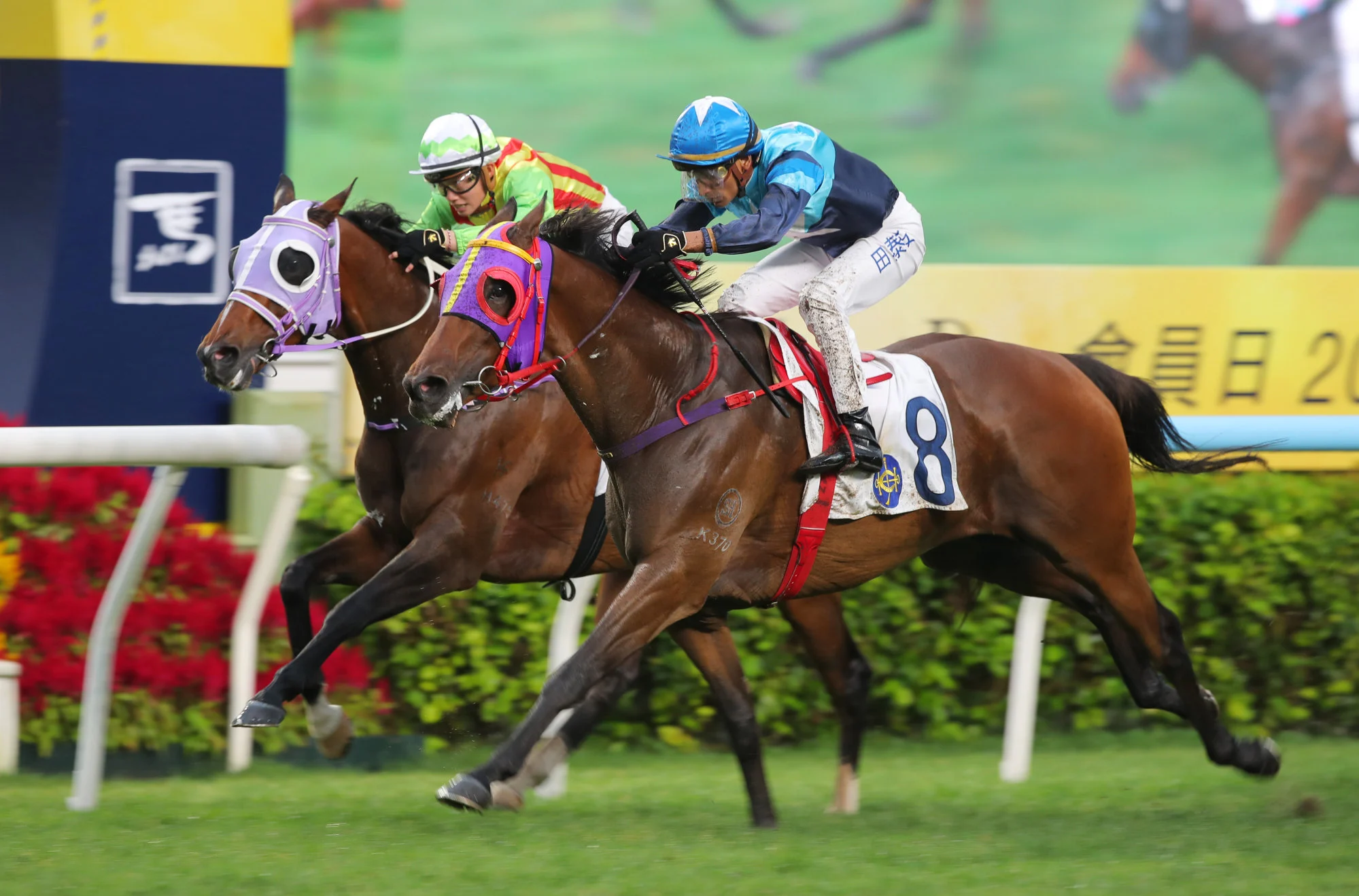 French Selections Saturday 11th