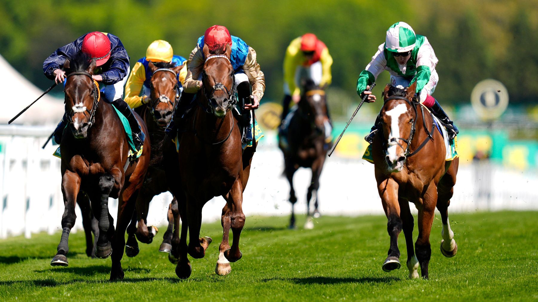 French Selections Wednesday 26th