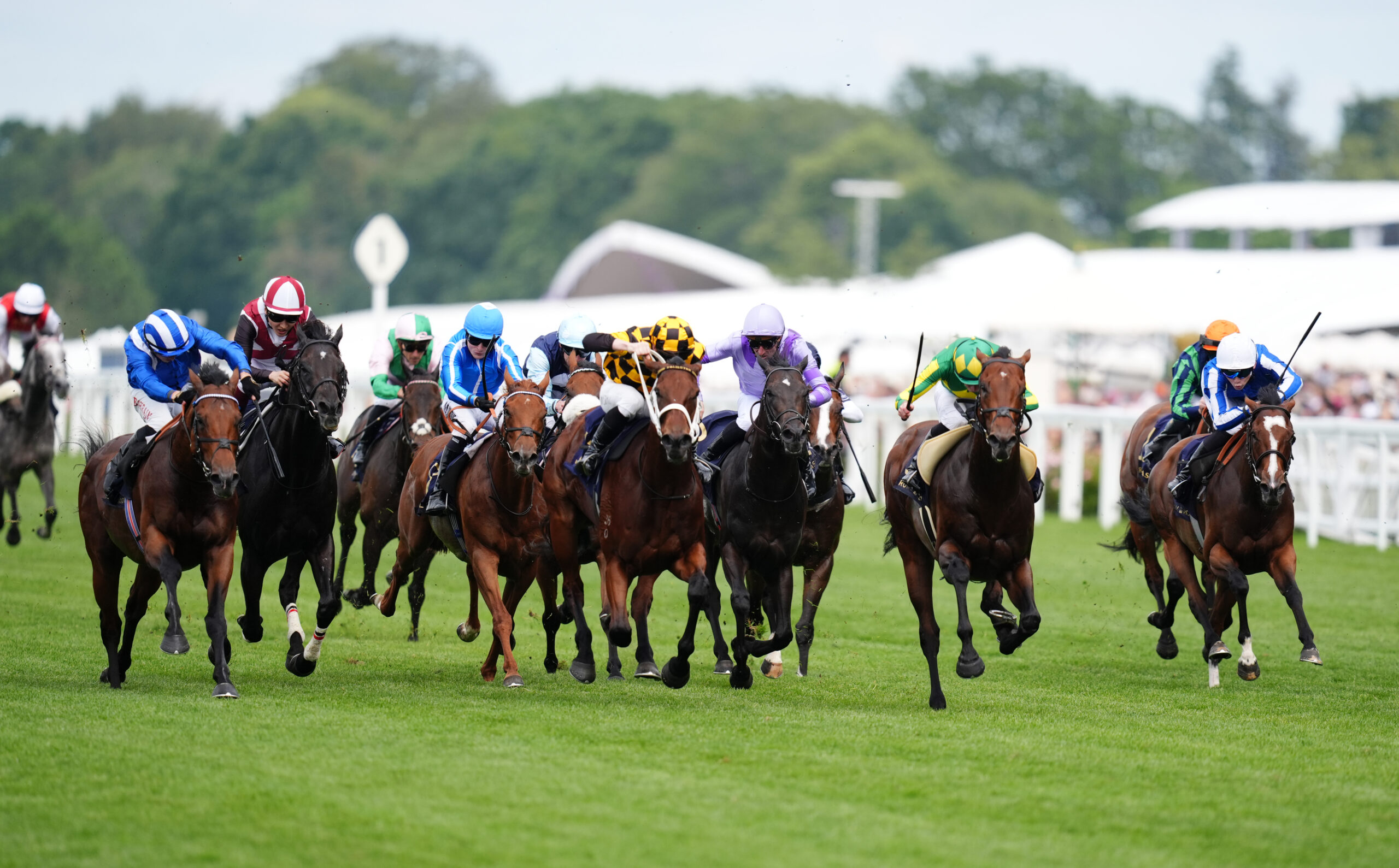ALMERAQ BRINGS POWERFUL FORMINTO A STAR-STUDDED HAYDOCK SPRINT CUP