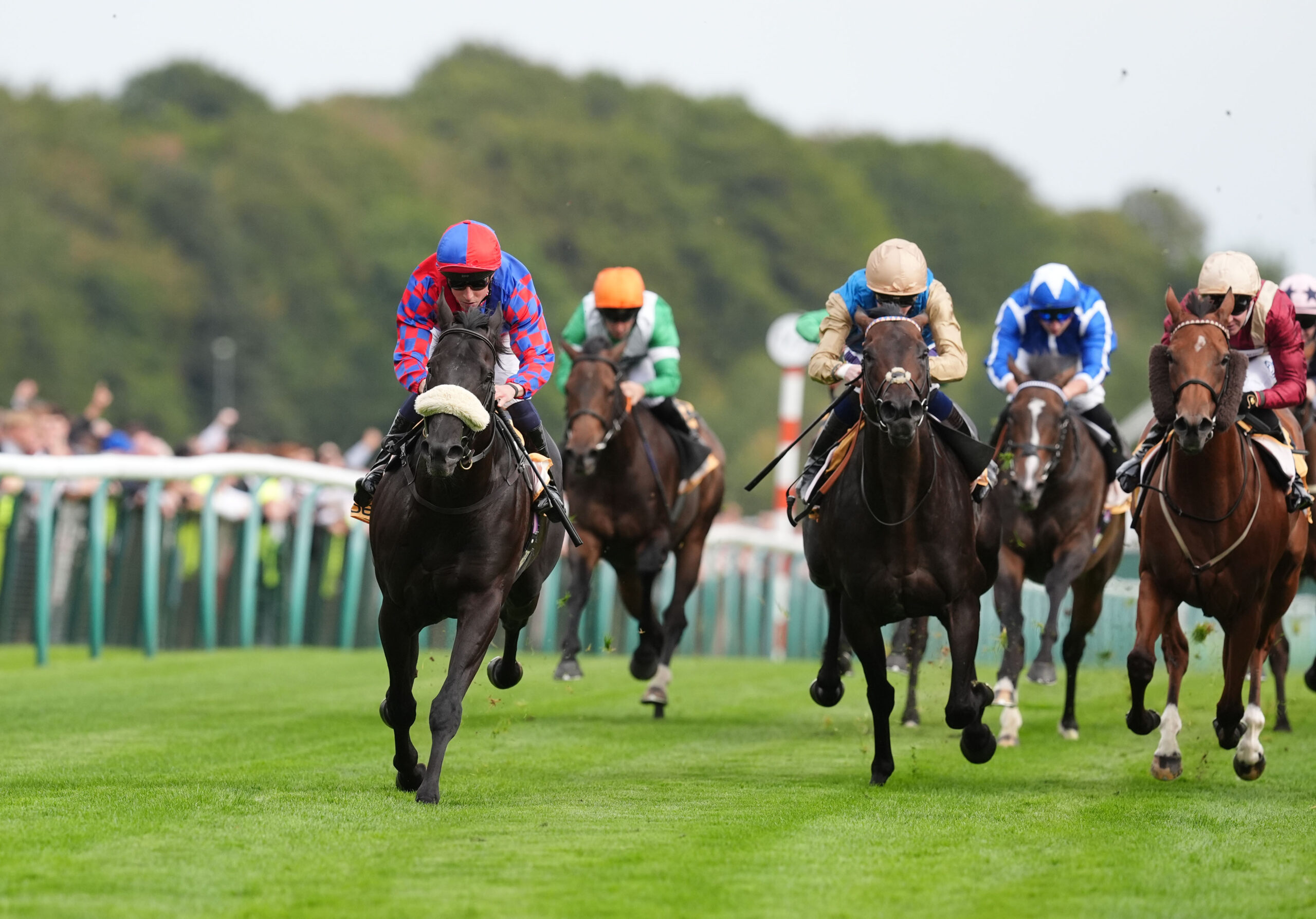 Mojo flying ahead of Betfair Cup defence