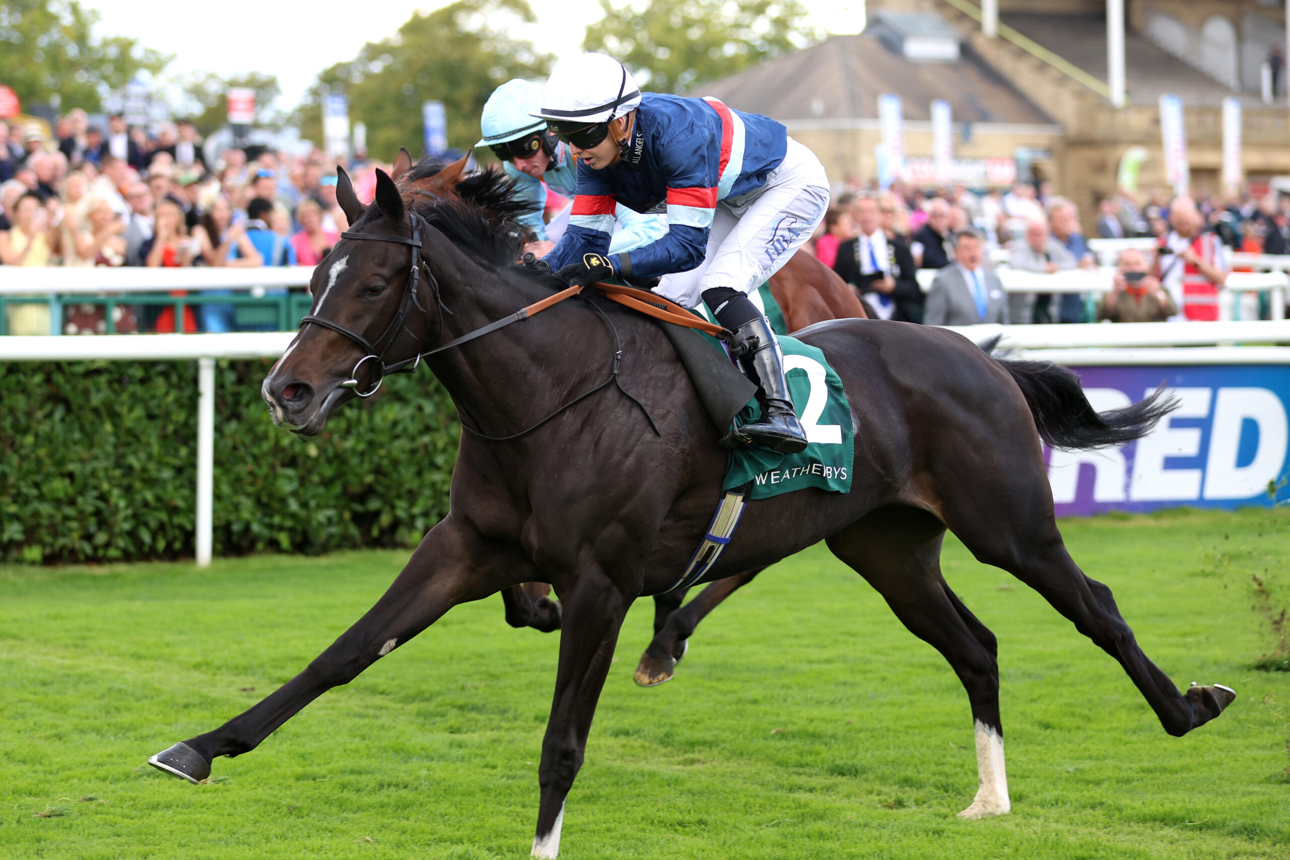 Calendar Girl holds most appeal at Sandown