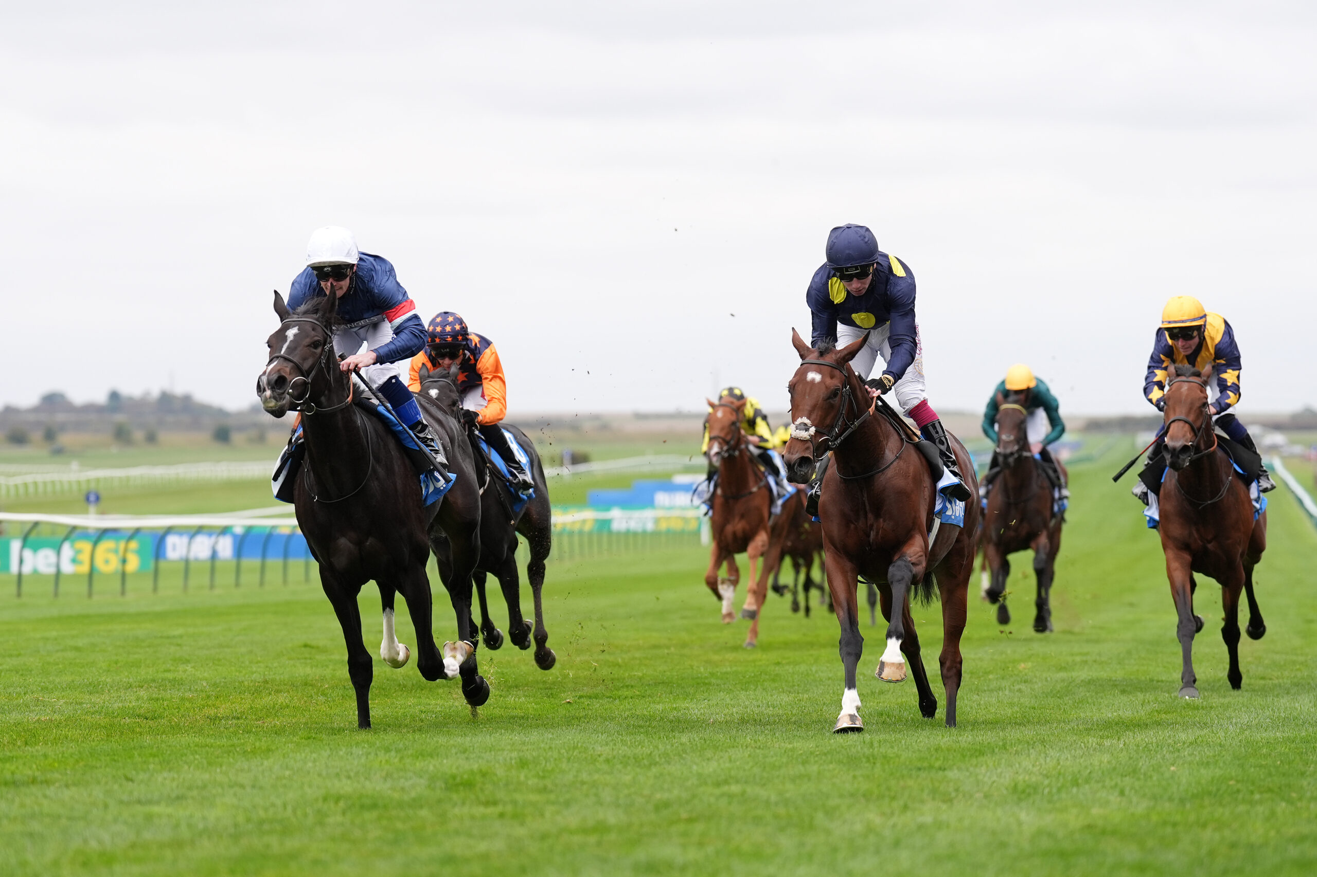 Calendar Girl Poised for a Major Atalanta StakesChallenge