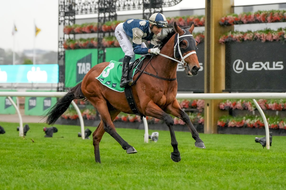 Buckaroo Eyes Another Underwood Stakes Triumph at Caulfield