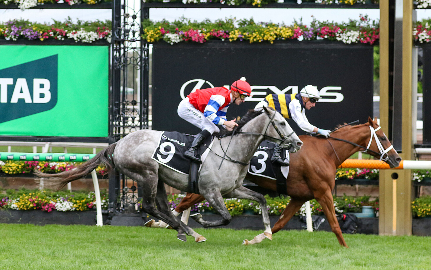 Deakin ticking over for Caulfield Cup target