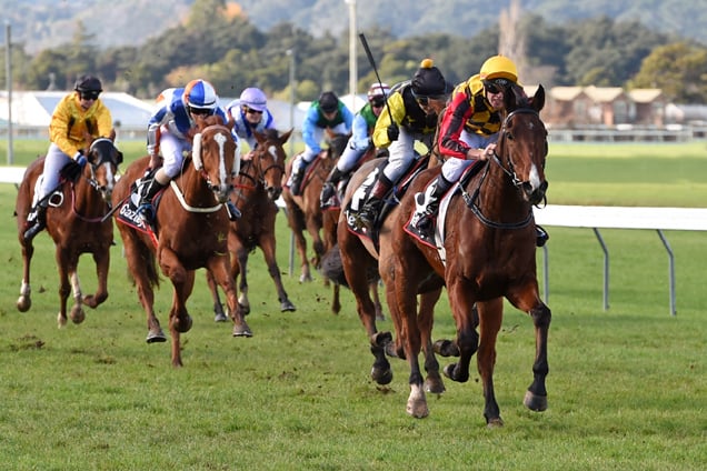 French Selections Thursday 3rd