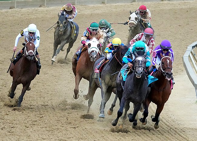 French Selections Saturday 5th