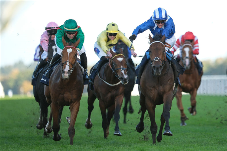 French Selections Friday 4th
