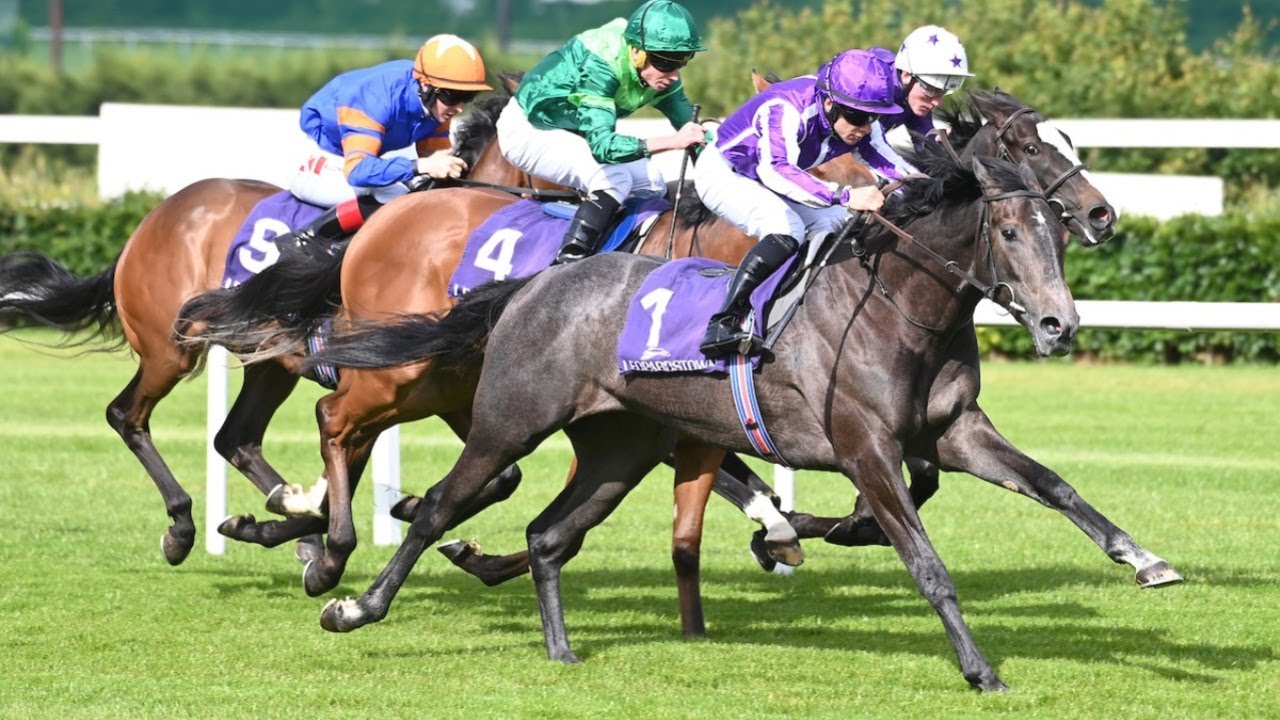 French Selections Saturday 19th