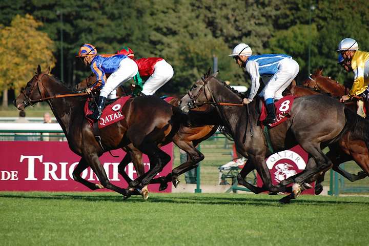 French Selections Sunday 20th