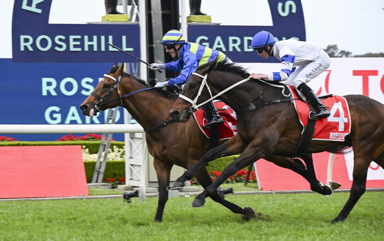 Attrition primed to scale Hill Stakes again