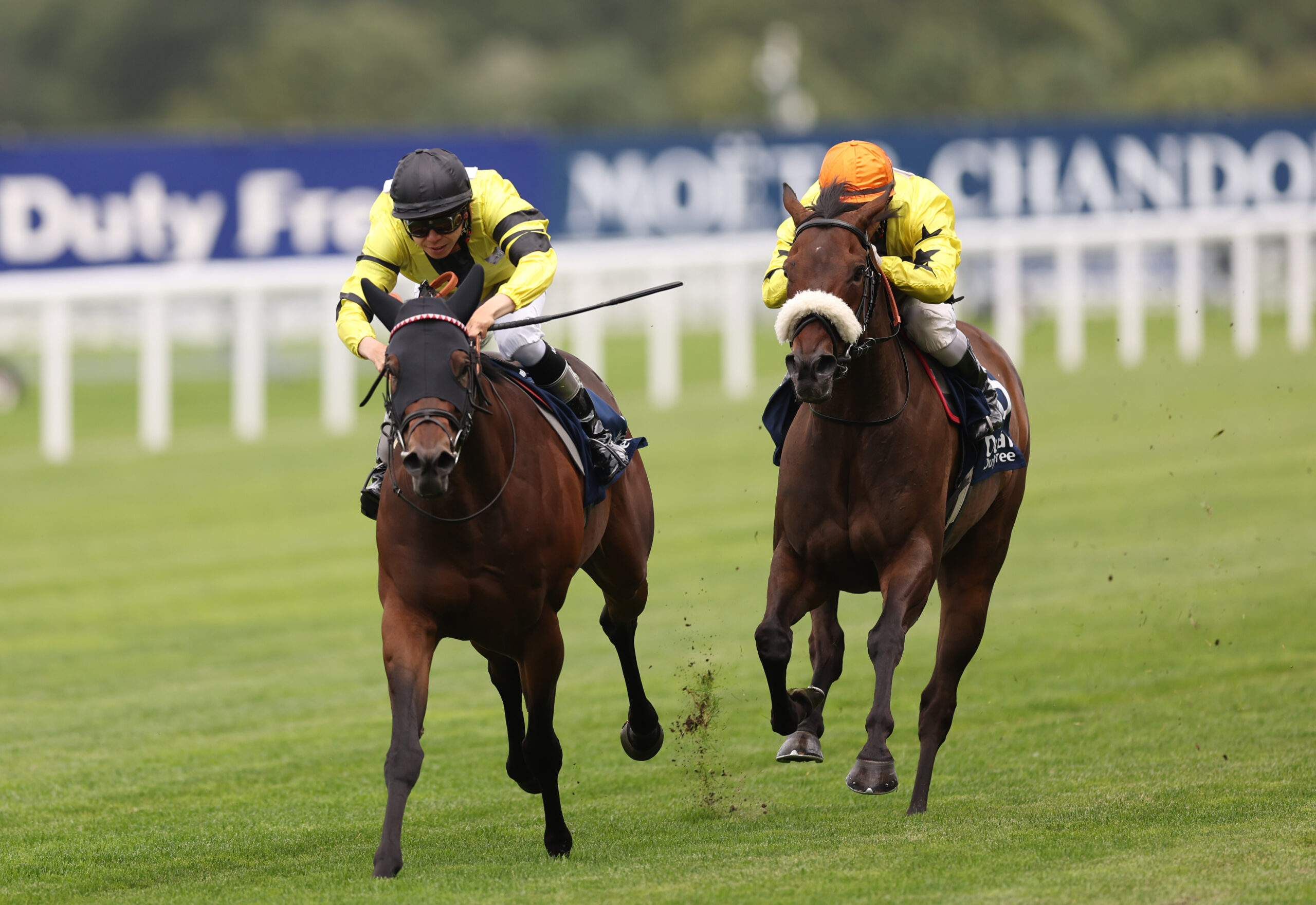 Rogue Lightning(left) to strike at Haydock.