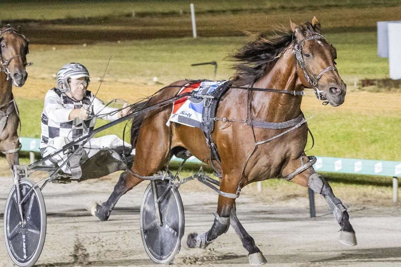 Leap To Fame faces crucial test in standing start at Albion Park