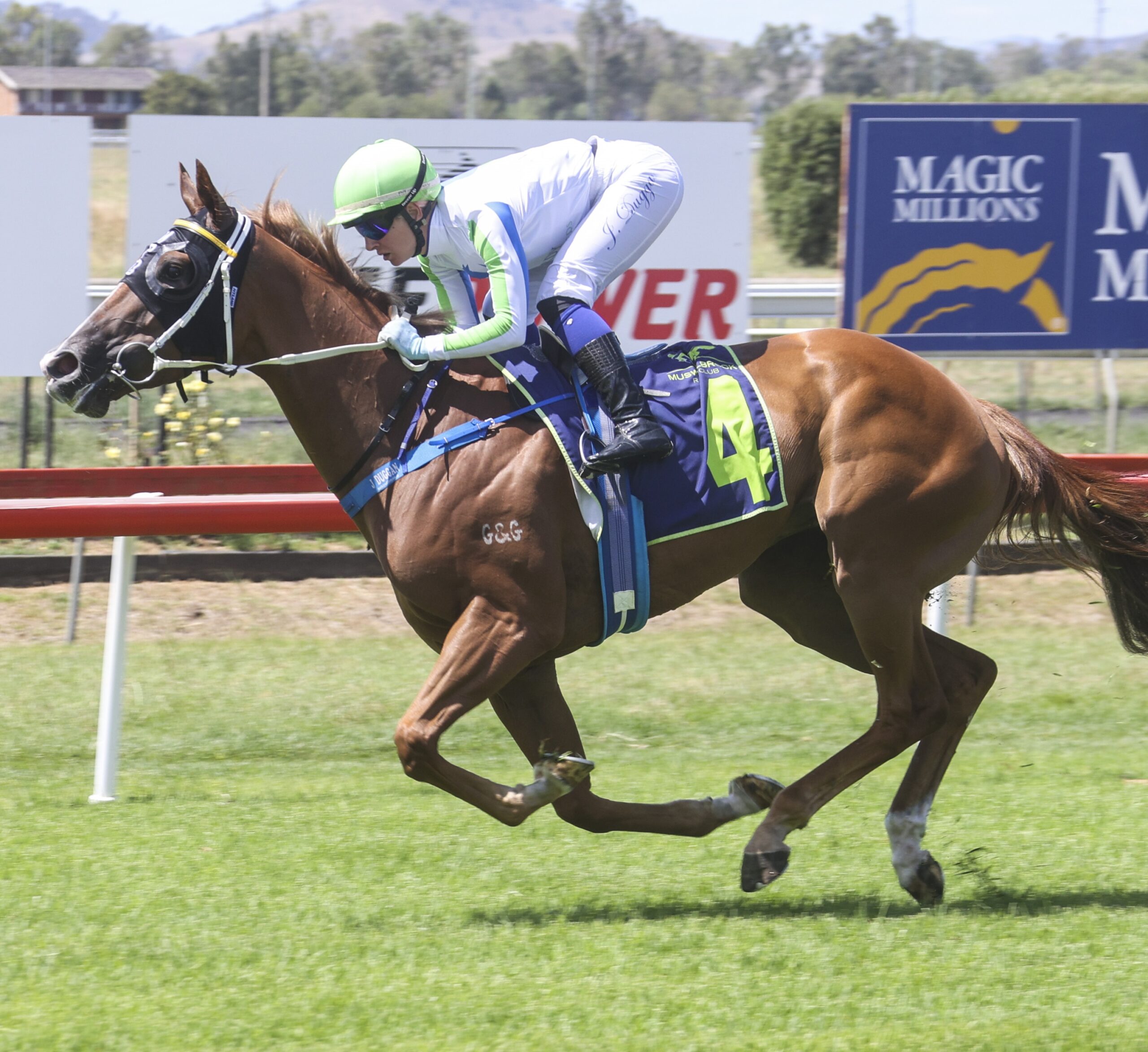 Port Macquarie Mare Shining Like ADiamond Into Randwick TAB Highway