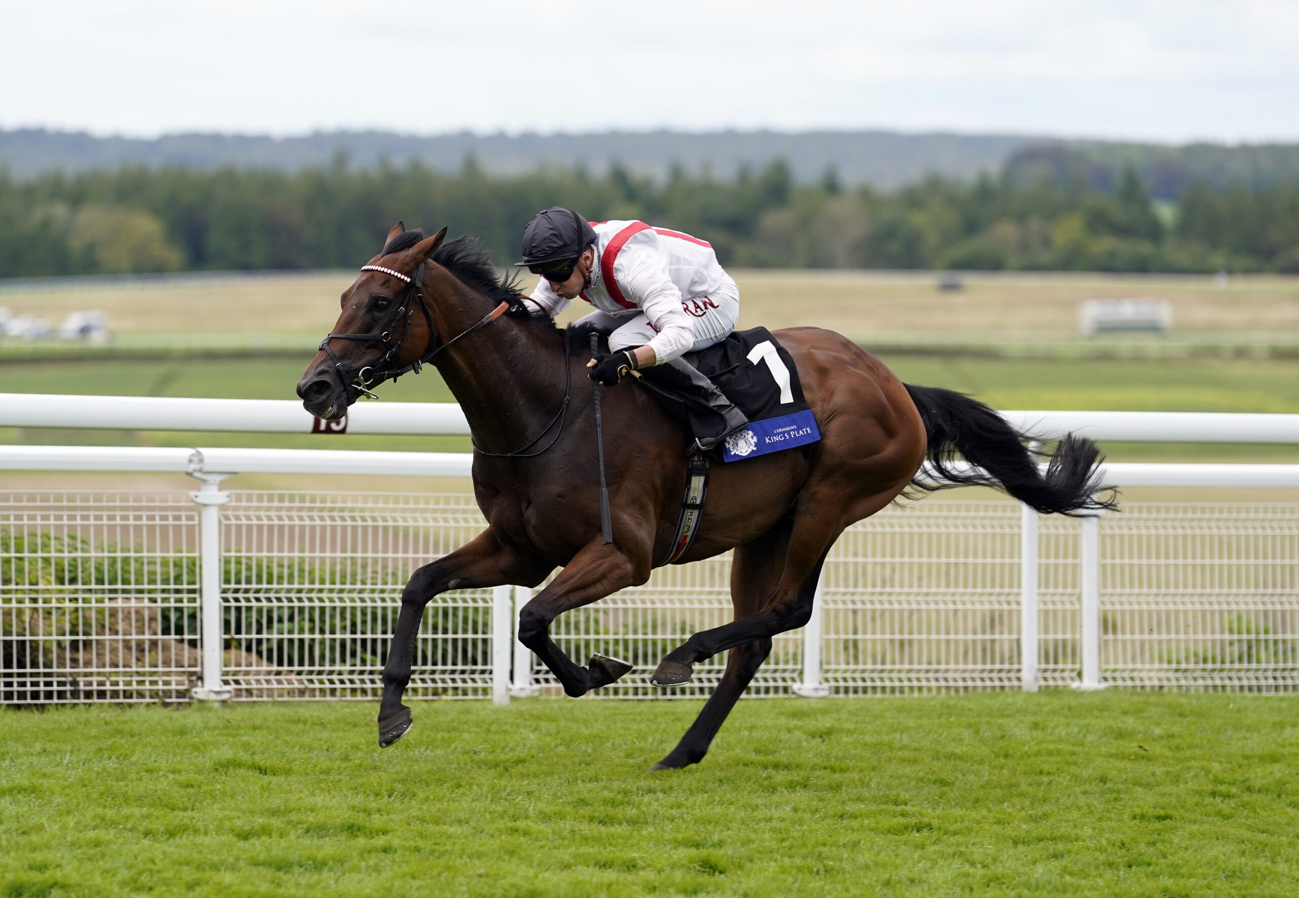 HAMISH CAN CELEBRATE ANOTHER CROWNING MOMENT AT NEWMARKET