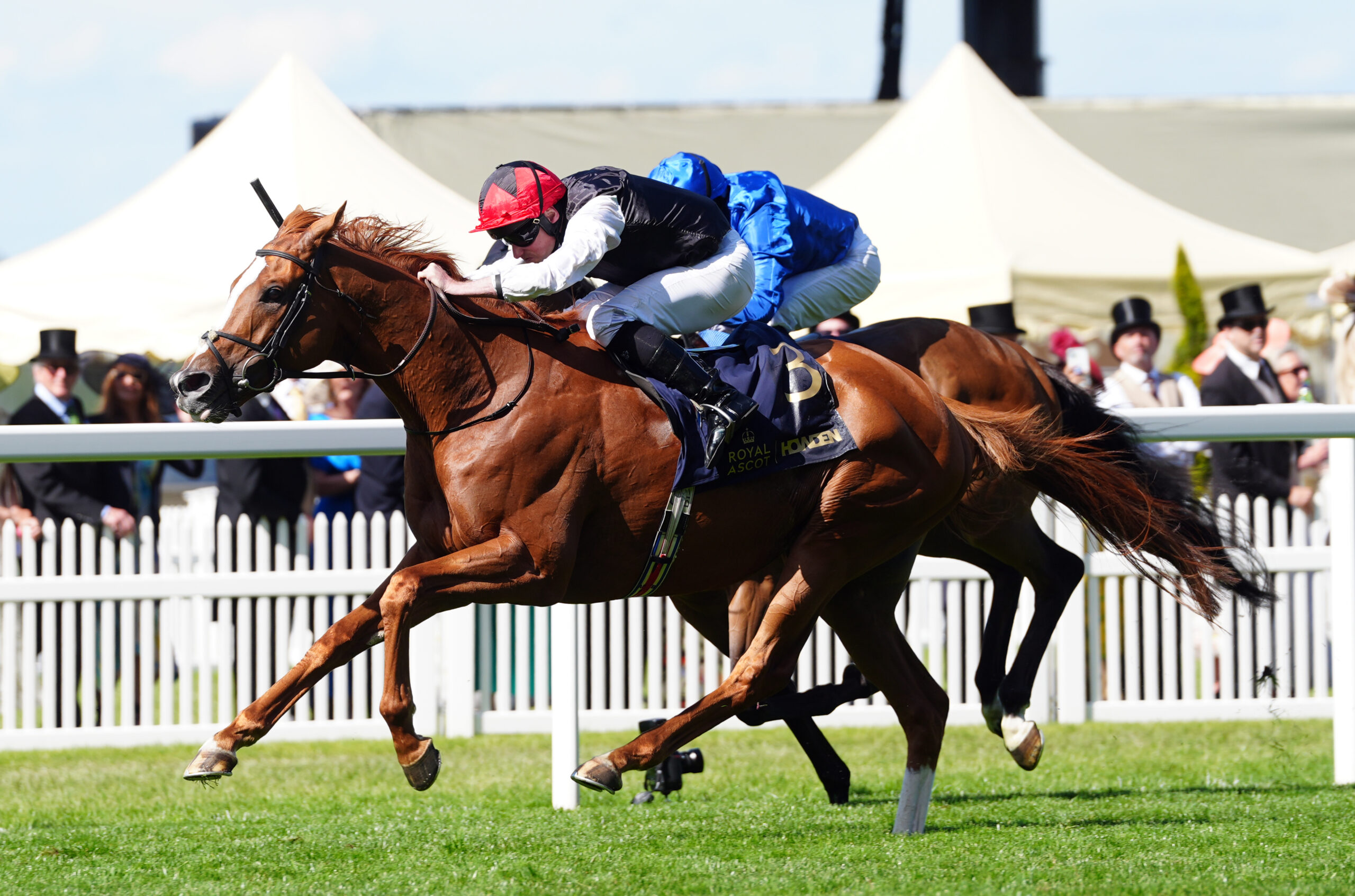 All eyes on staying king Kyprios in Goodwood Cup.