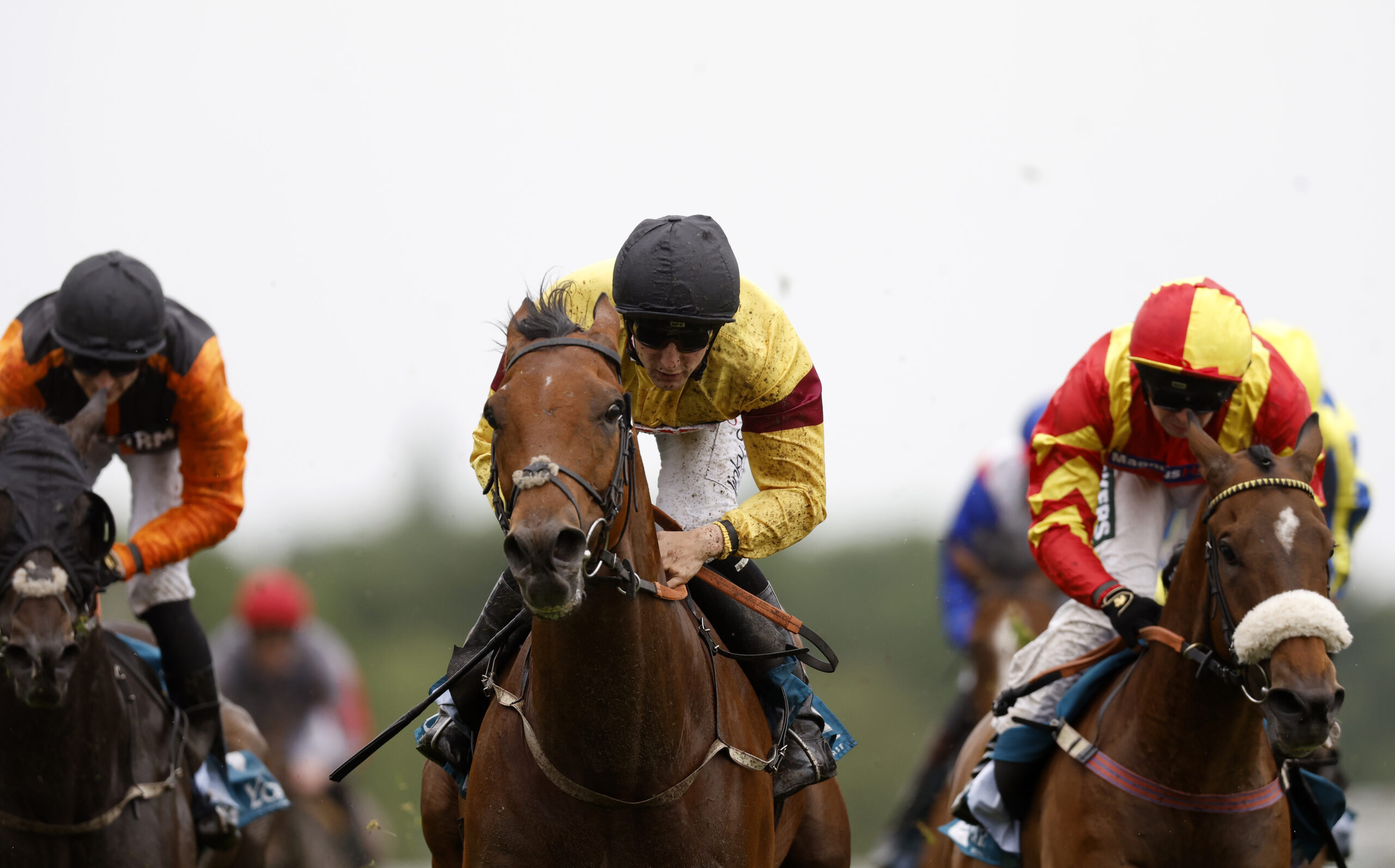 Hamilton afternoon racing tips: Best bets for TODAY