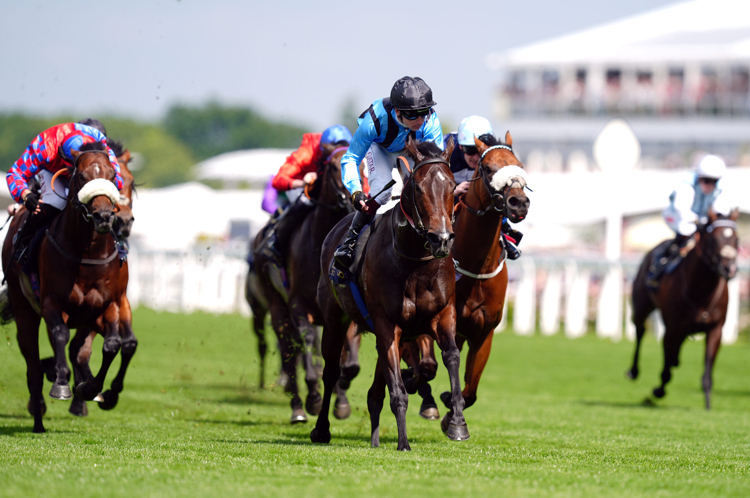 Henry Dwyer counting down toNunthorpe with Asfoora