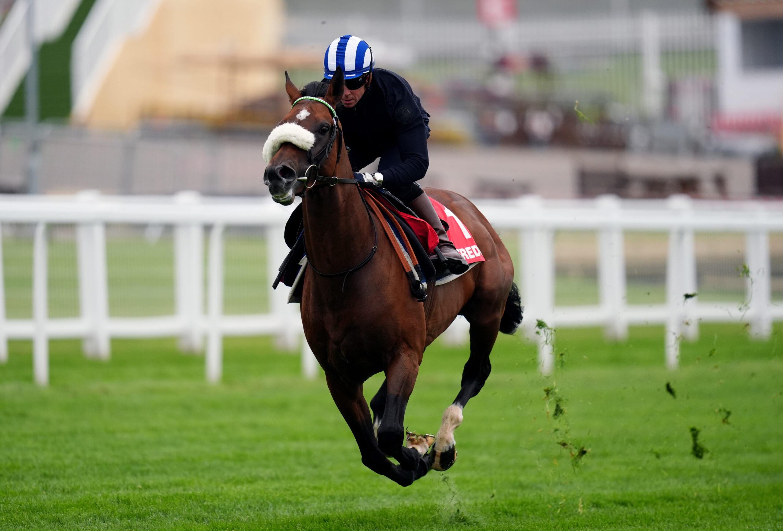 St Leger hope Deira Mile givenGreat Voltigeur target